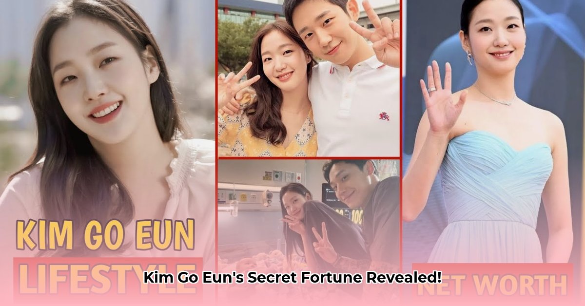 kim-go-eun-net-worth